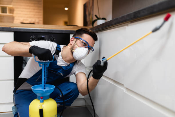 Wasp Removal Services in White Plains, NC