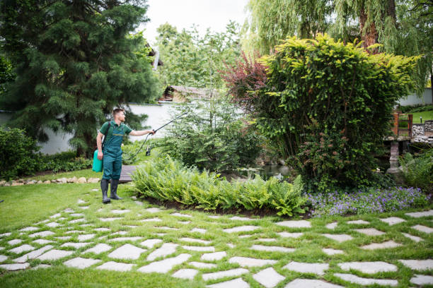 Best Local Pest Control Services  in White Plains, NC