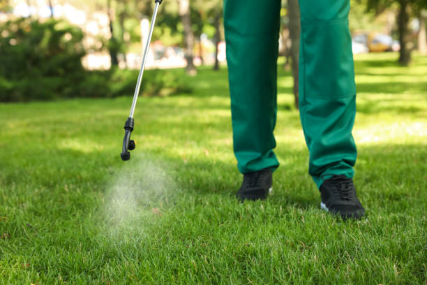 Pest Prevention Services in White Plains, NC