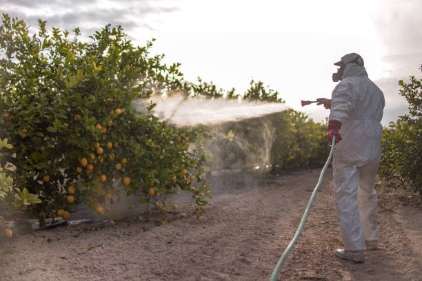 Best Pest Control for Restaurants  in White Plains, NC