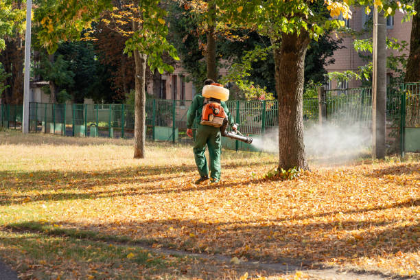 Best Best Pest Control Companies  in White Plains, NC