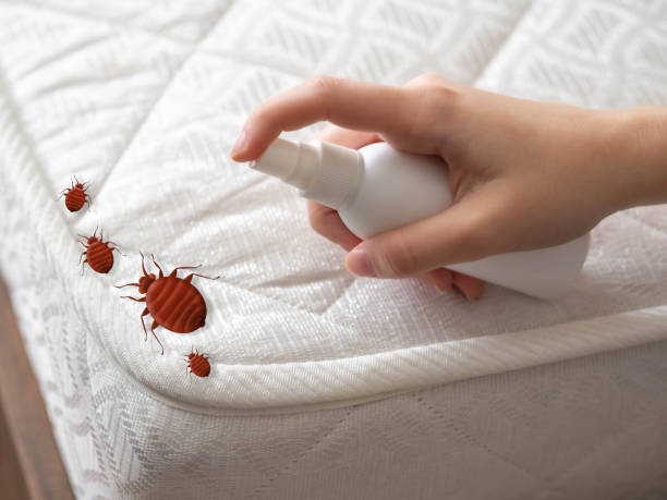 Best Termite Control Services  in White Plains, NC