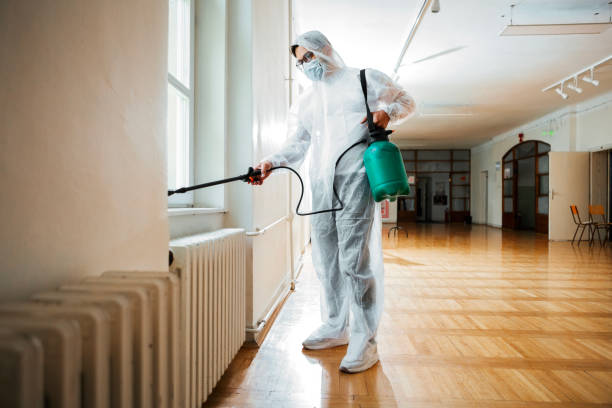 Best Affordable Pest Control Services  in White Plains, NC
